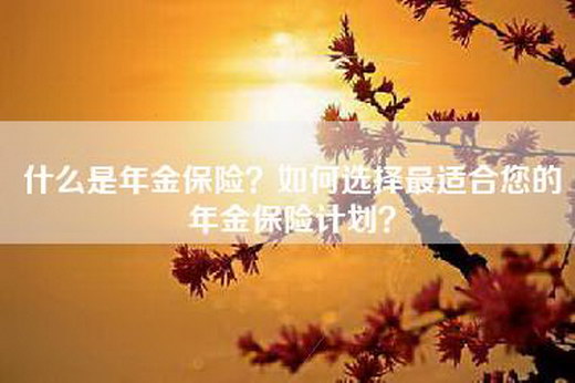 什么是年金保险？如何选择最适合您的年金保险计划？