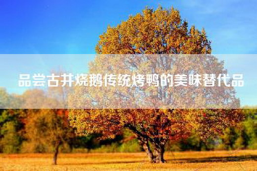 品尝古井烧鹅传统烤鸭的美味替代品 品尝古井烧鹅传统烤鸭的美味替代品