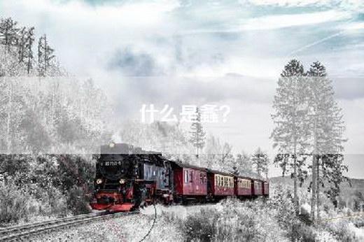 什么是螽? 什么是螽?