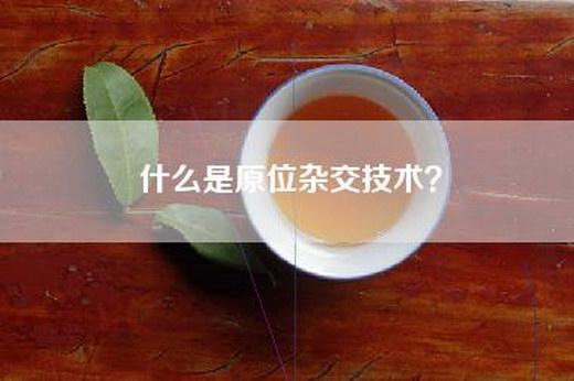 什么是原位杂交技术? 什么是原位杂交技术?