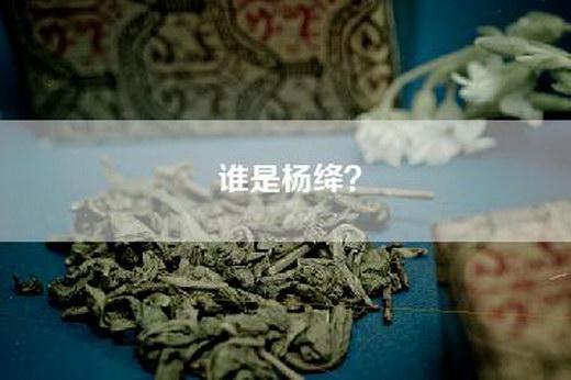 谁是杨绛? 谁是杨绛?