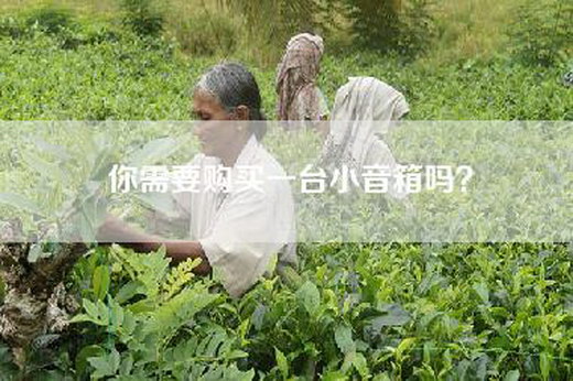 你需要购买一台小音箱吗? 你需要购买一台小音箱吗?