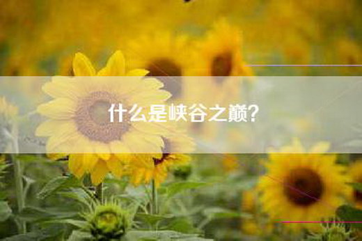 什么是峡谷之巅? 什么是峡谷之巅?