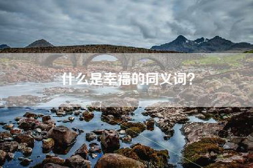 什么是幸福的同义词? 什么是幸福的同义词?