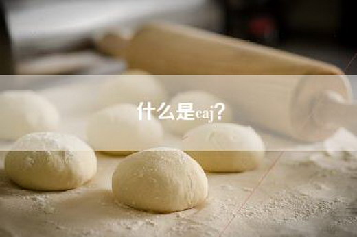 什么是caj? 什么是caj?
