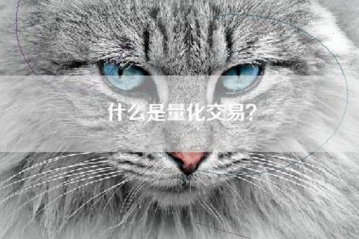 什么是量化交易? 什么是量化交易?