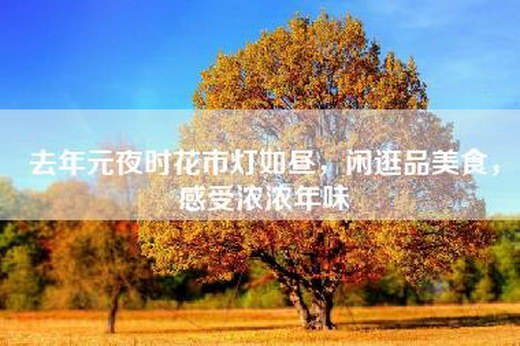 去年元夜时花市灯如昼，闲逛品美食，感受浓浓年味