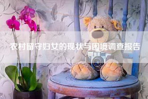 农村留守妇女的现状与困境调查报告