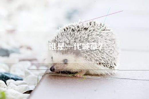 谁是一代城草? 谁是一代城草?