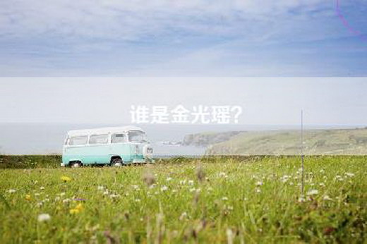 谁是金光瑶? 谁是金光瑶?