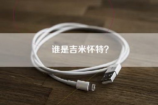 谁是吉米怀特? 谁是吉米怀特?