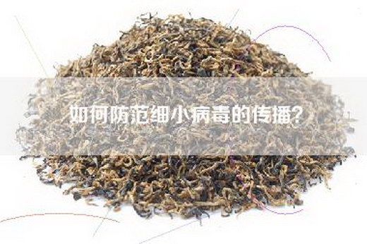 如何防范细小病毒的传播？