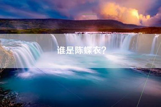 谁是陈蝶衣? 谁是陈蝶衣?