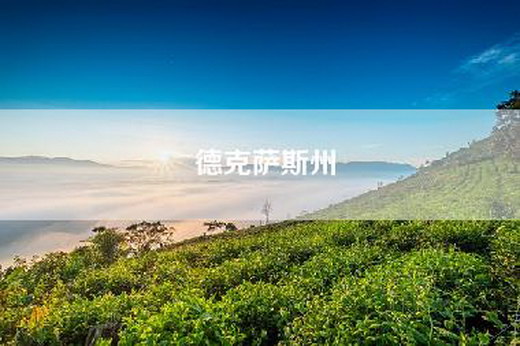 德克萨斯州 德克萨斯州