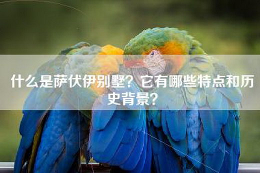 什么是萨伏伊别墅?它有哪些特点和历史背景? 什么是萨伏伊别墅?它有哪些特点和历史背景?