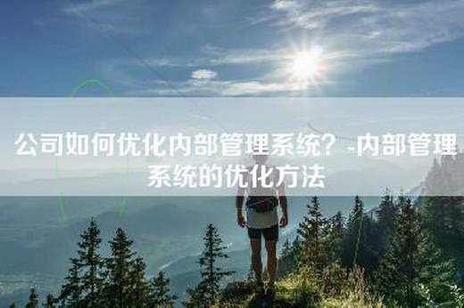 公司如何优化内部管理系统?-内部管理系统的优化方法 公司如何优化内部管理系统?-内部管理系统的优化方法