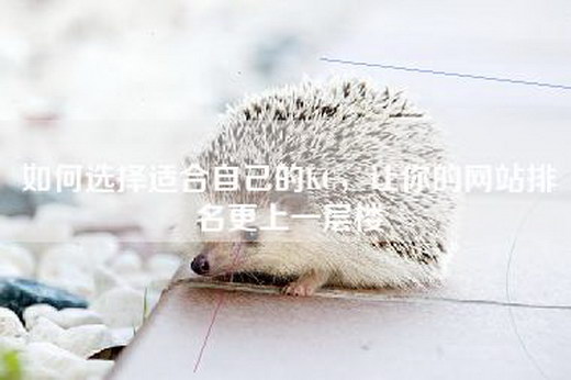 如何选择适合自己的KC，让你的网站排名更上一层楼