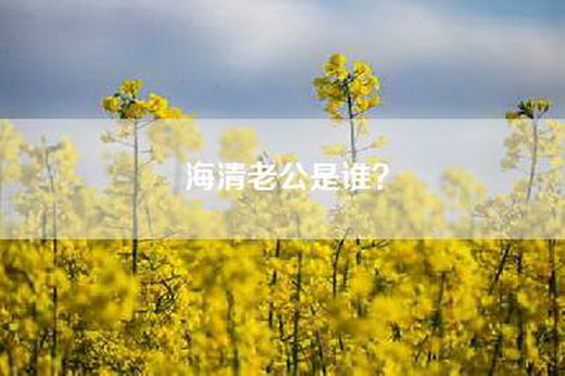 海清老公是谁? 海清老公是谁?