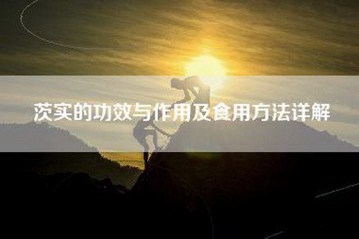 茨实的功效与作用及食用方法详解