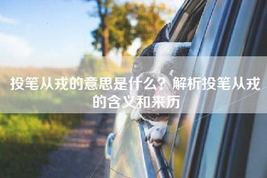 投笔从戎的意思是什么?解析投笔从戎的含义和来历 投笔从戎的意思是什么?解析投笔从戎的含义和来历