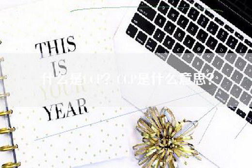 什么是CCP？CCP是什么意思？