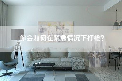 你会如何在紧急情况下打枪？