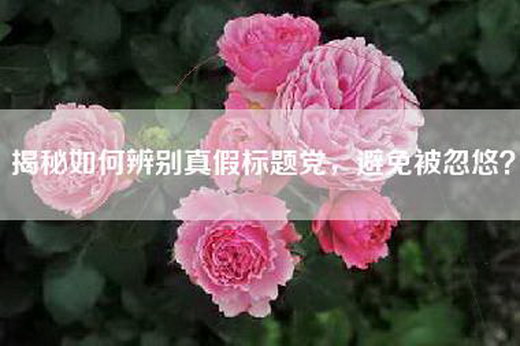 揭秘如何辨别真假标题党，避免被忽悠？