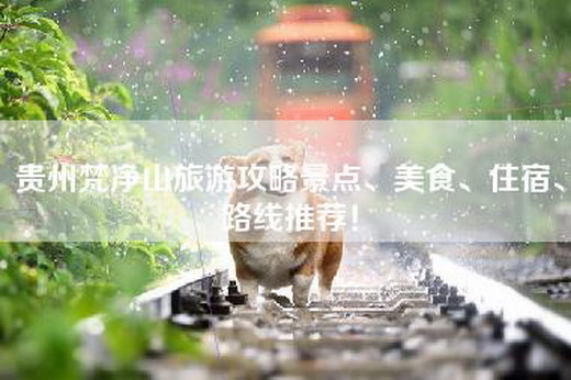 贵州梵净山旅游攻略景点、美食、住宿、路线推荐! 贵州梵净山旅游攻略景点、美食、住宿、路线推荐!