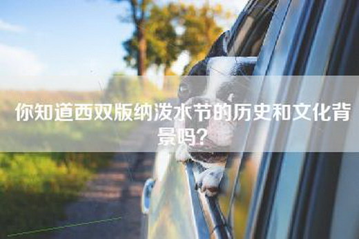 你知道西双版纳泼水节的历史和文化背景吗？