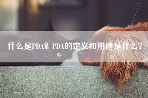 什么是PDA？PDA的定义和用途是什么？