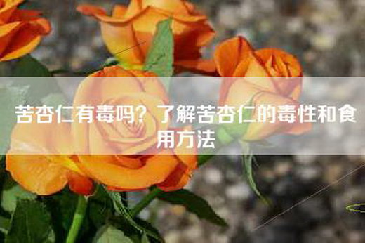 苦杏仁有毒吗?了解苦杏仁的毒性和食用方法 苦杏仁有毒吗?了解苦杏仁的毒性和食用方法