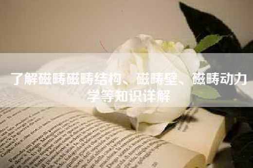 了解磁畴磁畴结构、磁畴壁、磁畴动力学等知识详解