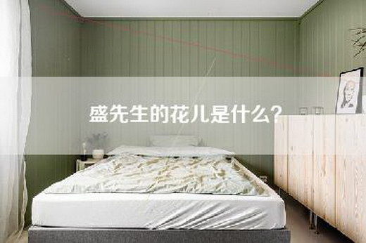 盛先生的花儿是什么？