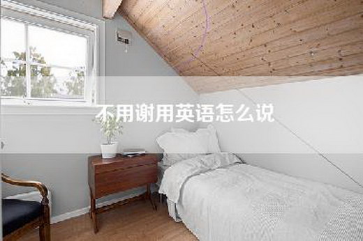 不用谢用英语怎么说
