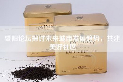 暨阳论坛探讨未来城市发展趋势，共建美好社区