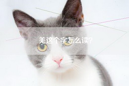 羌这个字怎么读？