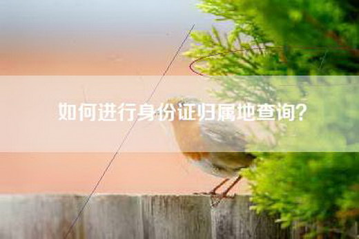 如何进行身份证归属地查询？