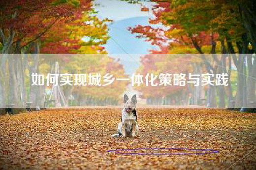 如何实现城乡一体化策略与实践