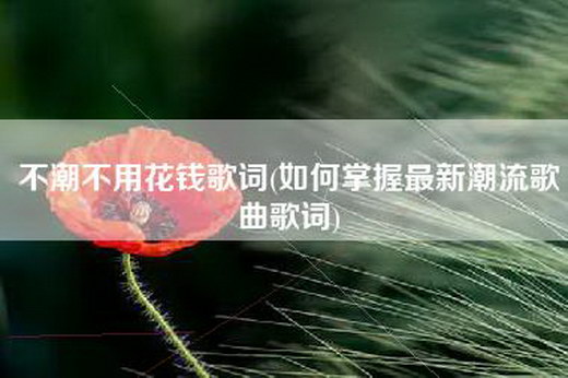 不潮不用花钱歌词(如何掌握最新潮流歌曲歌词)