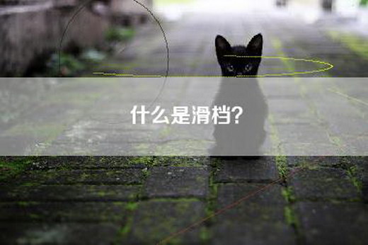 什么是滑档? 什么是滑档?