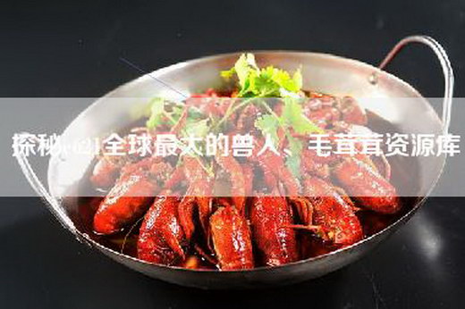 探秘e621全球最大的兽人、毛茸茸资源库