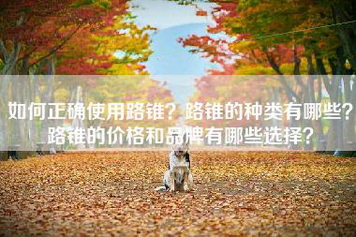 如何正确使用路锥？路锥的种类有哪些？路锥的价格和品牌有哪些选择？