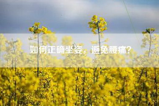 如何正确坐姿，避免腰痛？