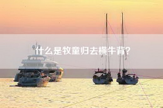 什么是牧童归去横牛背？