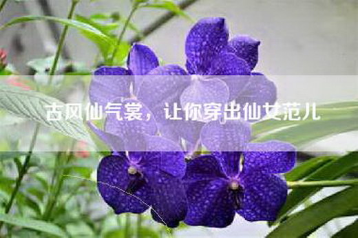 古风仙气裳，让你穿出仙女范儿