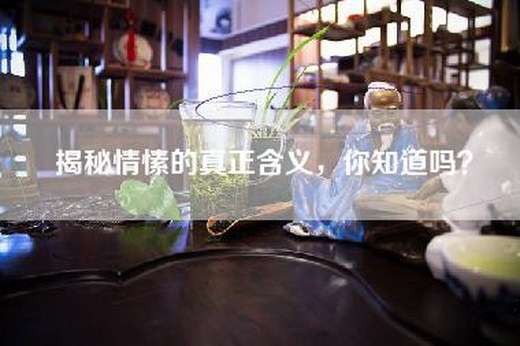 揭秘情愫的真正含义，你知道吗？