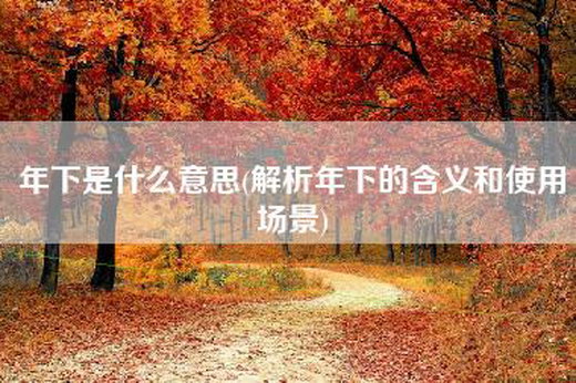 年下是什么意思(解析年下的含义和使用场景)