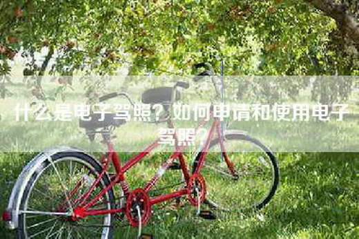 什么是电子驾照?如何申请和使用电子驾照?