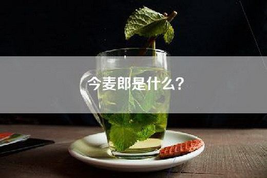 今麦郎是什么？