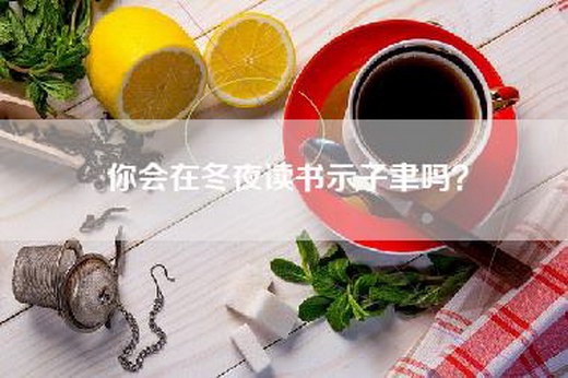 你会在冬夜读书示子聿吗? 你会在冬夜读书示子聿吗?